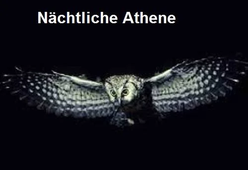 Nächtliche Athene